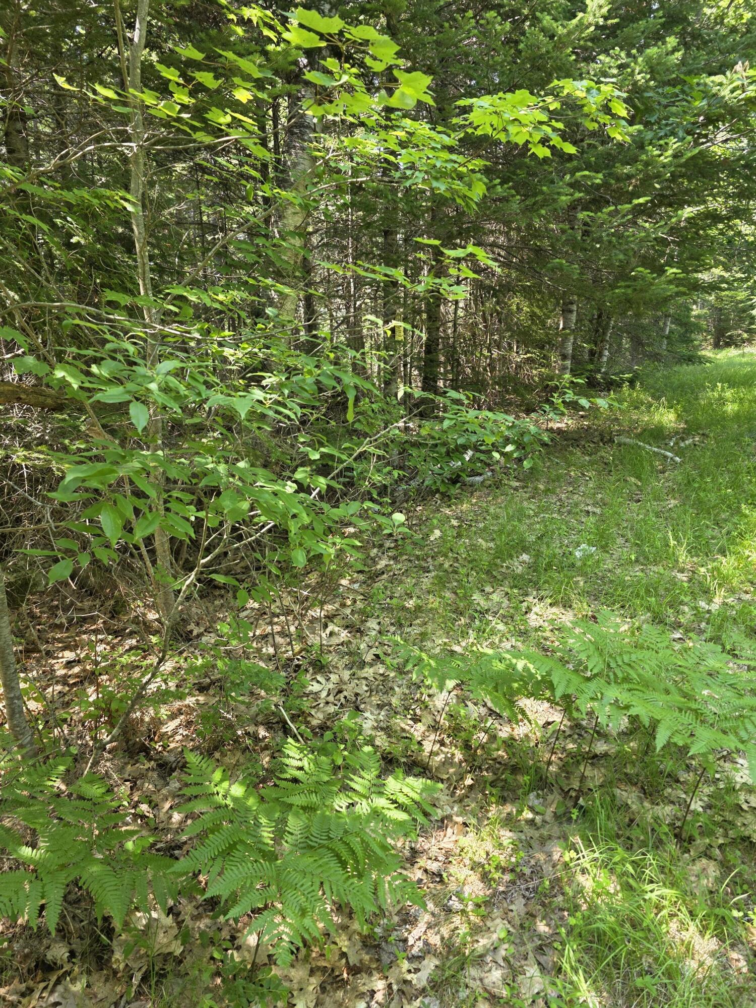 0 Brown Road Searsmont, ME 04973 - Photo 6 of 14 1000033528