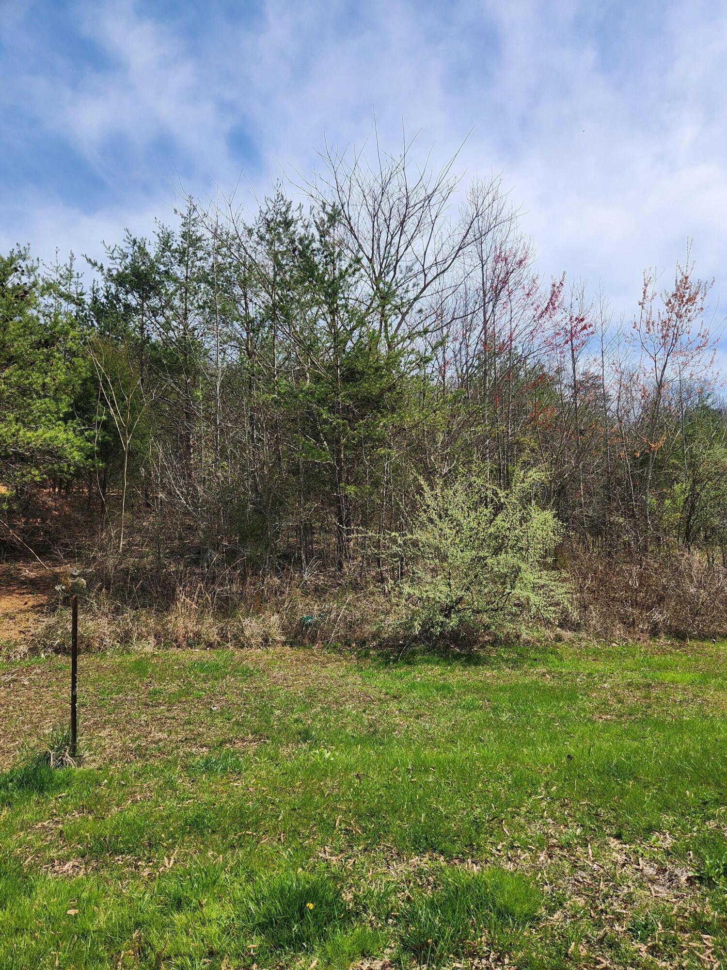 0 West Park Circle, Unit 29 Decatur, TN 37322 - Photo 3 of 18 20240321_145025