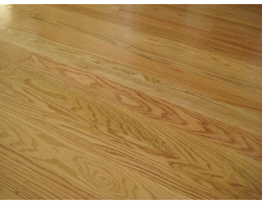 11 Pandolf Lane Needham, MA 02494 - Photo 27 of 30 Gallery Image 27