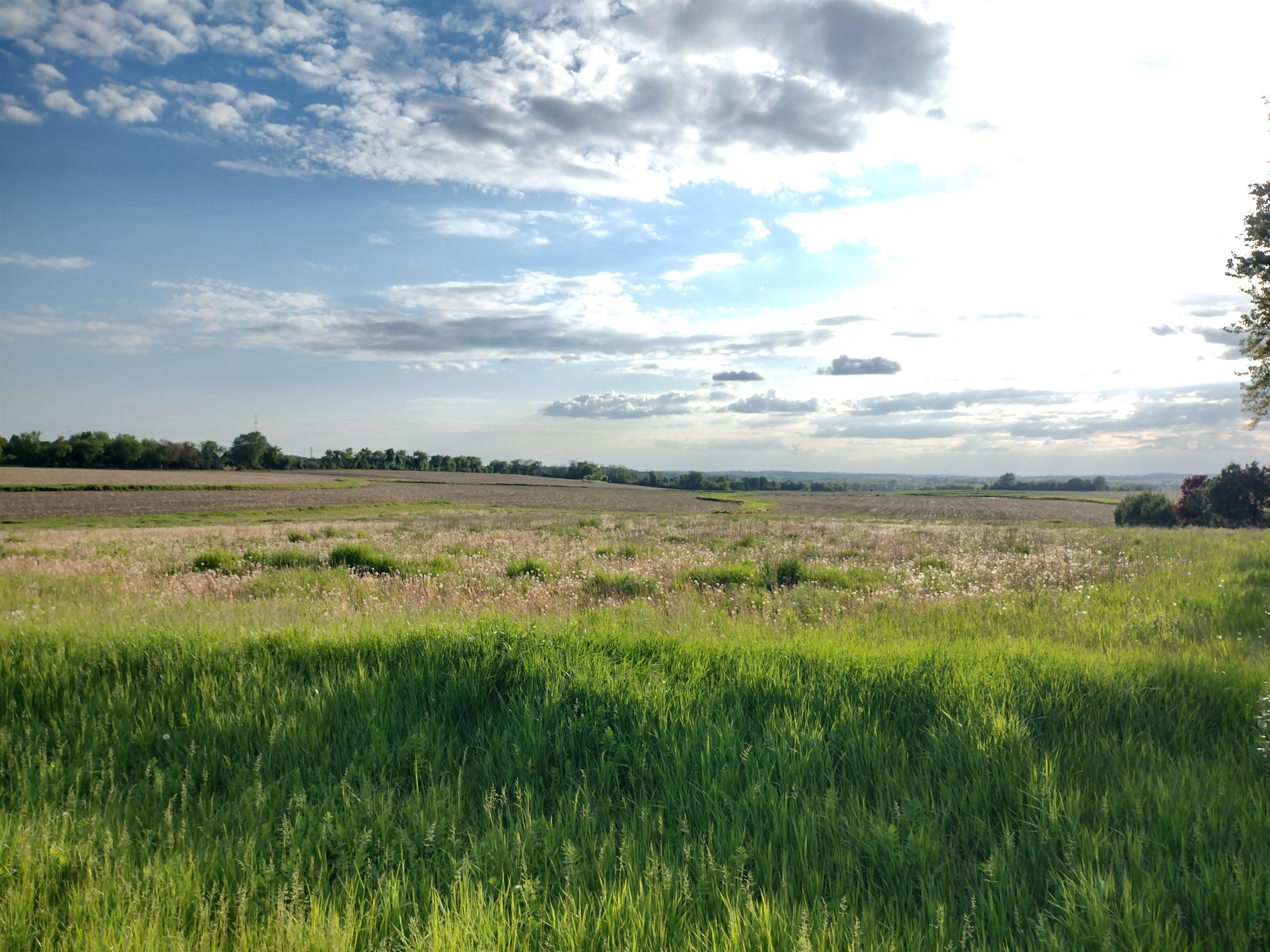 County Road East Ripon, WI 54971 - Photo 1 of 1 Gallery Image 1