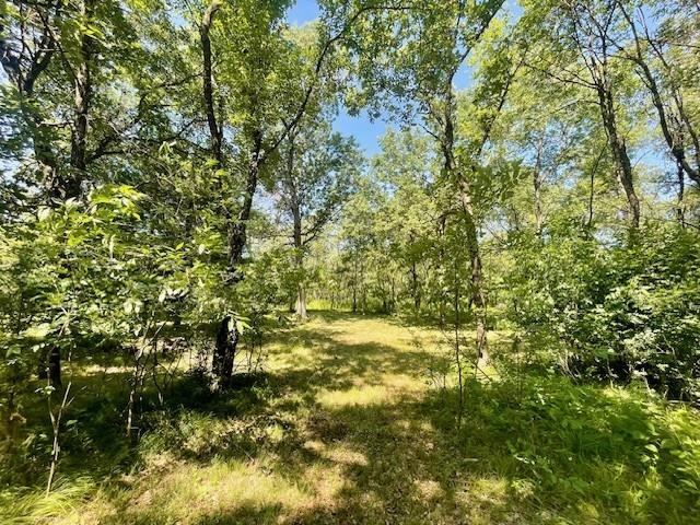 1441 Rain Dance Trail Nekoosa, WI 54457 - Photo 4 of 12