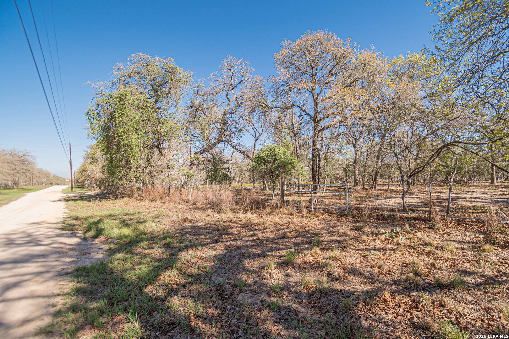 526 Turkey Tree Seguin, TX 78155 - Photo 11 of 24 a backyard of a house with lots of green space