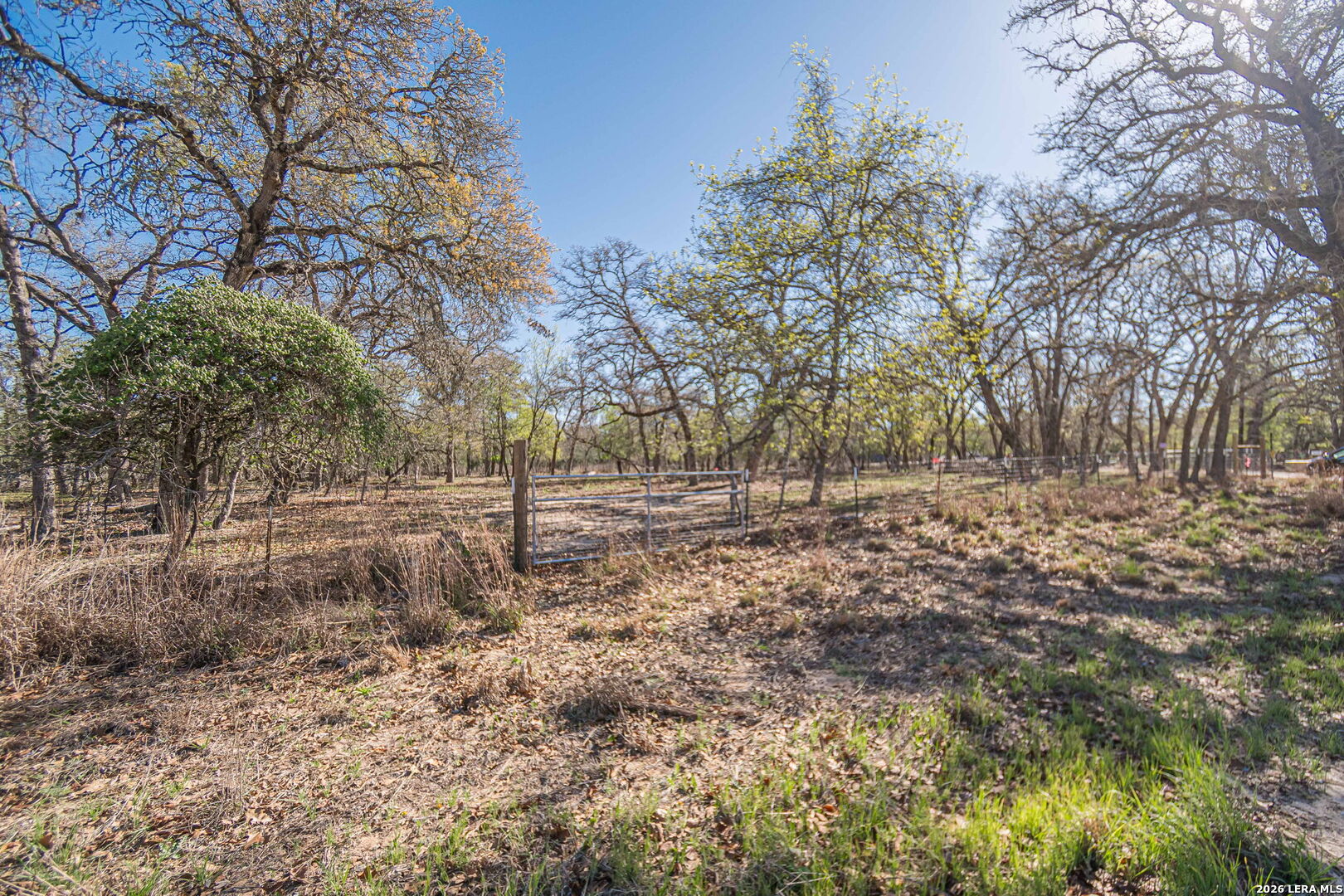 526 Turkey Tree Seguin, TX 78155 - Photo 12 of 24 a view of backyard space