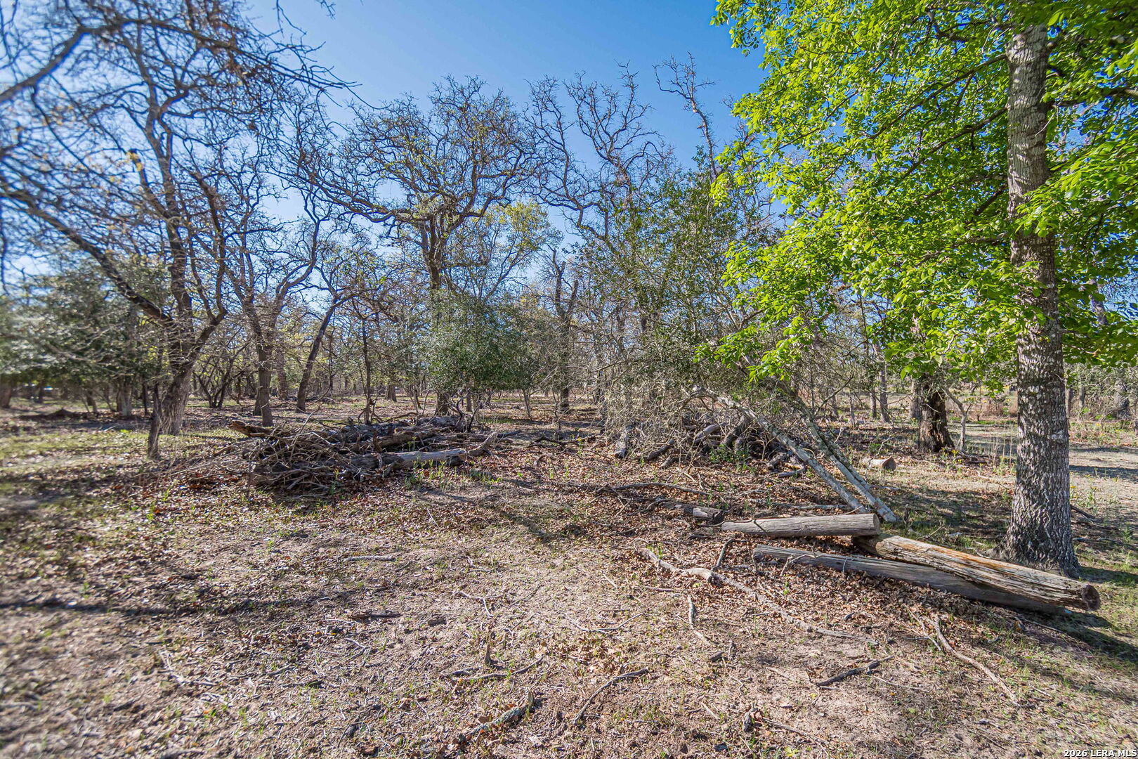 526 Turkey Tree Seguin, TX 78155 - Photo 16 of 24 a view of backyard with green space