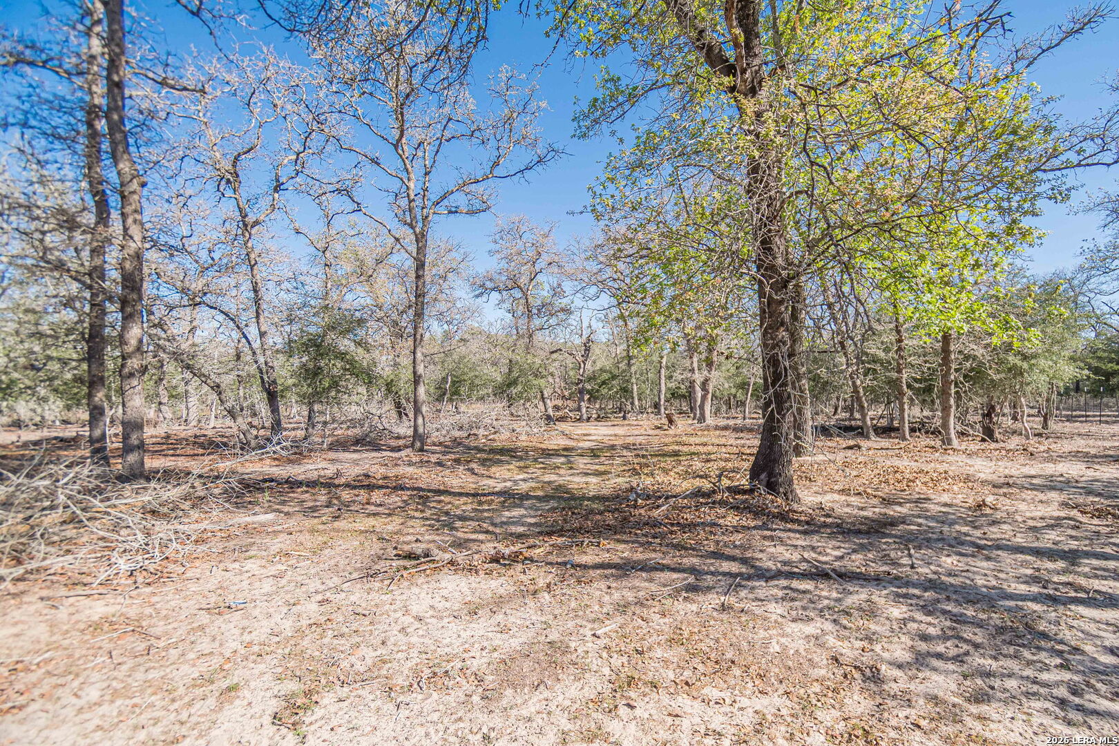 526 Turkey Tree Seguin, TX 78155 - Photo 19 of 24 a view of empty yard with trees