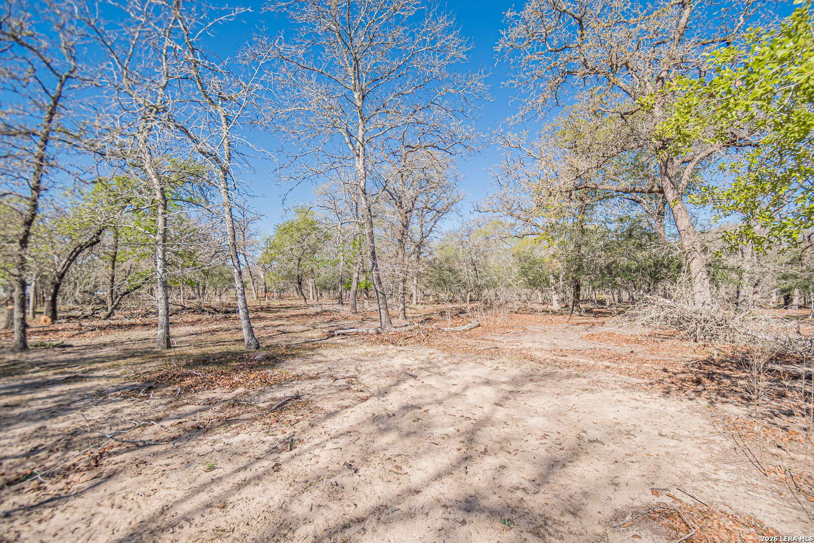 526 Turkey Tree Seguin, TX 78155 - Photo 21 of 24 a view of a yard with trees
