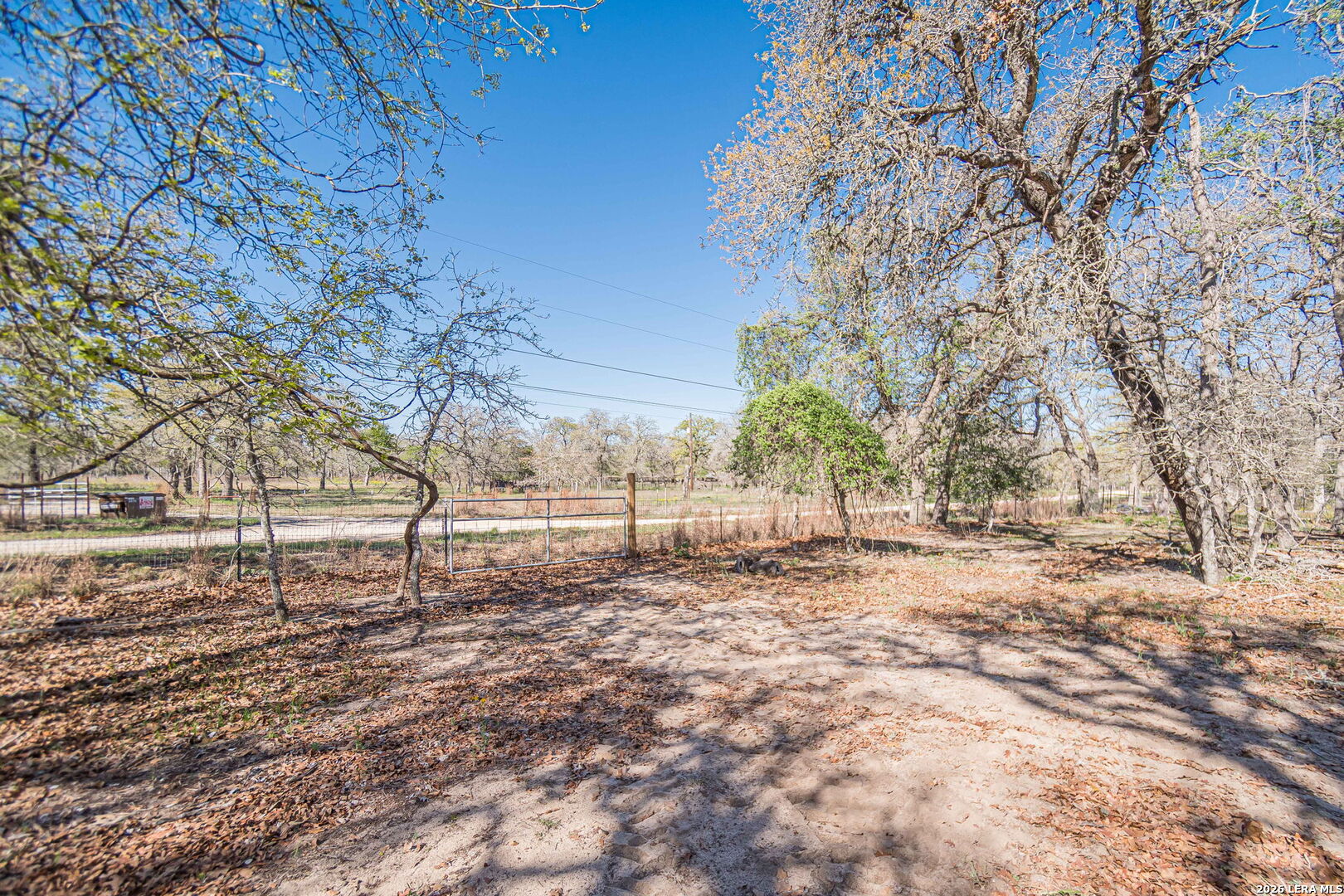 526 Turkey Tree Seguin, TX 78155 - Photo 22 of 24 a view of a yard with trees