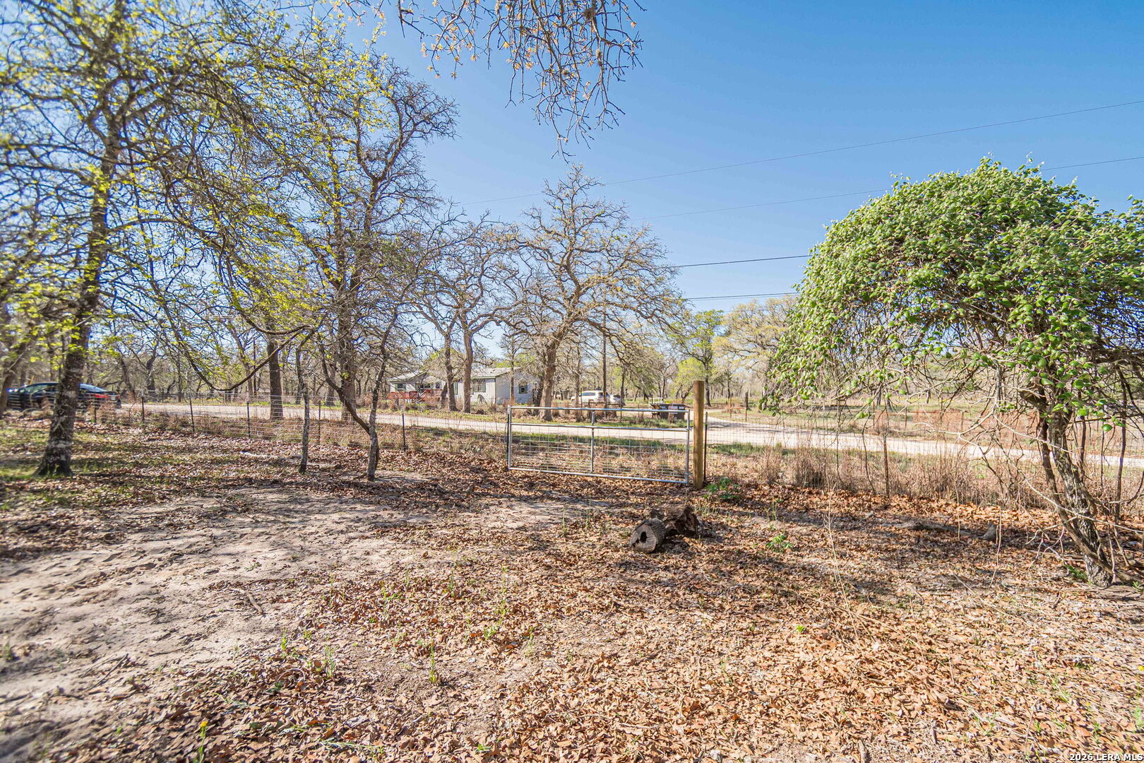 526 Turkey Tree Seguin, TX 78155 - Photo 23 of 24 a view of dirt yard with a large tree