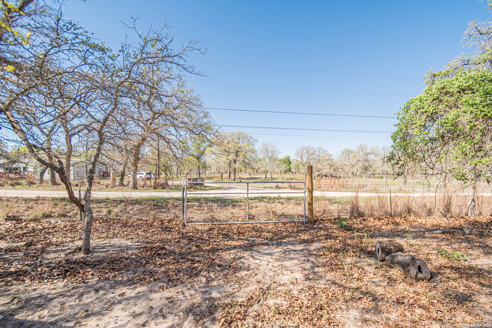 526 Turkey Tree Seguin, TX 78155 - Photo 24 of 24 a view of dirt yard with a large tree