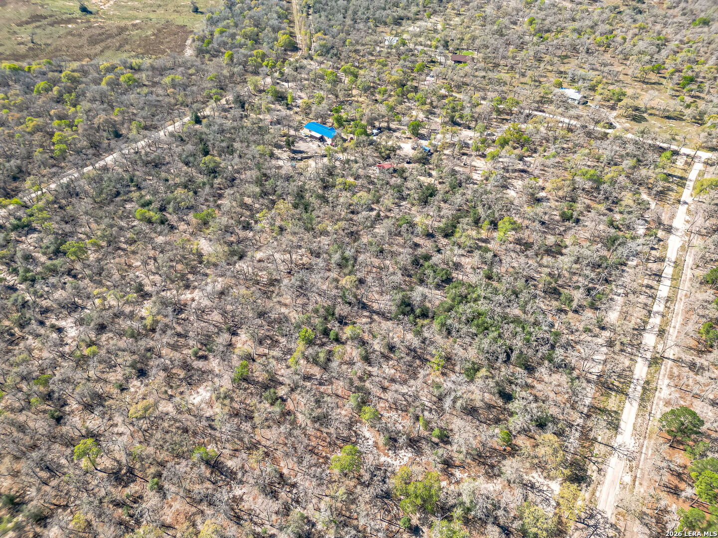 526 Turkey Tree Seguin, TX 78155 - Photo 6 of 24 a view of a field