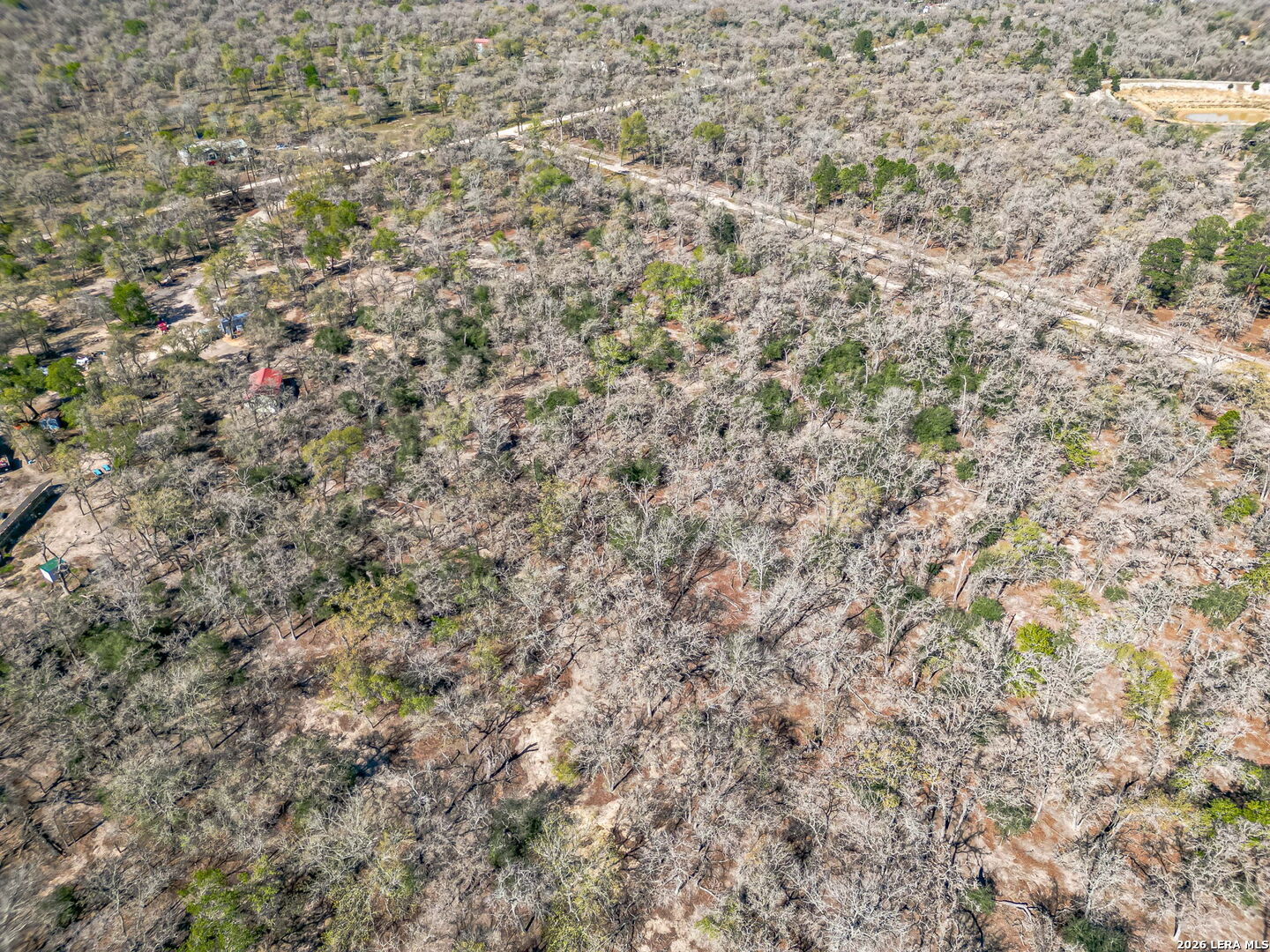 526 Turkey Tree Seguin, TX 78155 - Photo 9 of 24 a view of a dry yard with green space