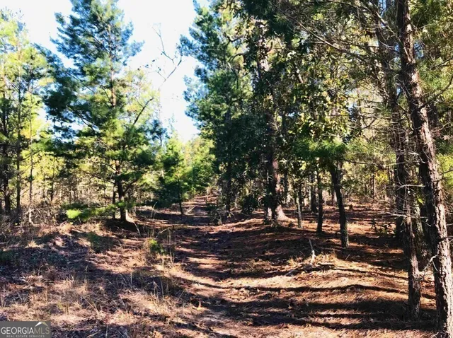 $60,000 | 245 Dog Track Road, Box Springs, GA 31801