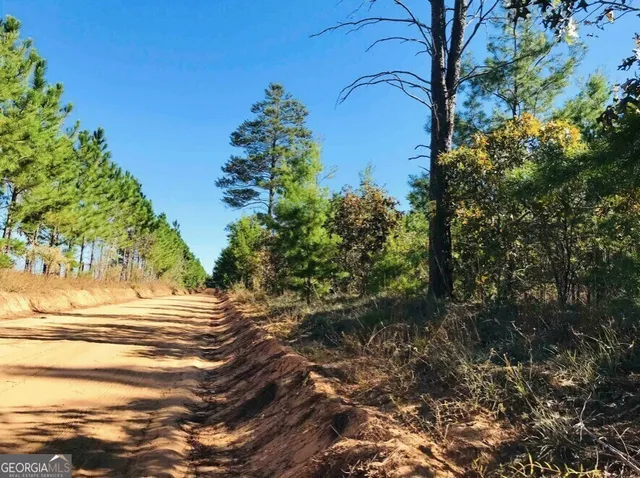 $60,000 | 245 Dog Track Road, Box Springs, GA 31801