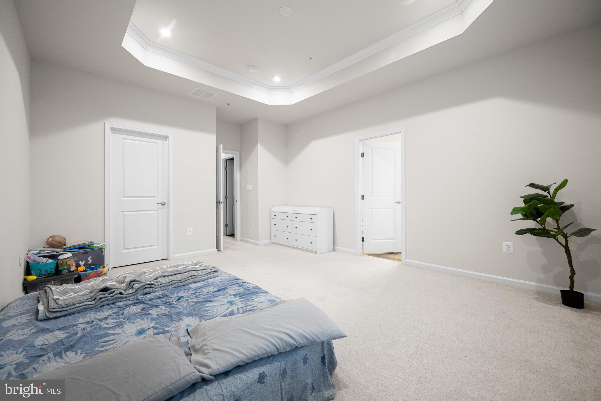3724 Valley Ford Way Hanover, MD 21076 - Photo 23 of 28 a bedroom with a bed and a potted plant