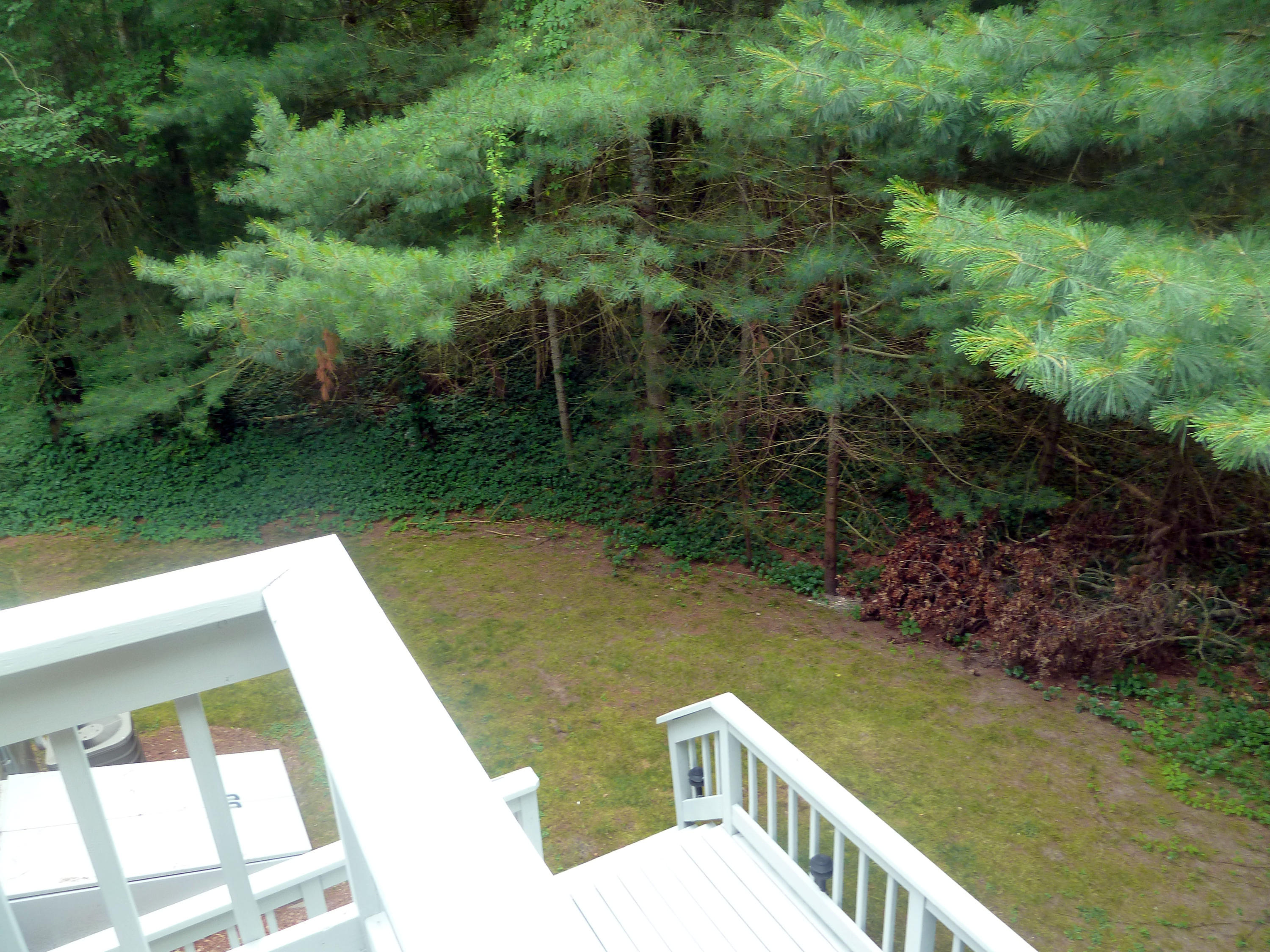 95 Sea Robin Road Osterville, MA 02655 - Photo 20 of 23 a view of a yard with a wooden deck