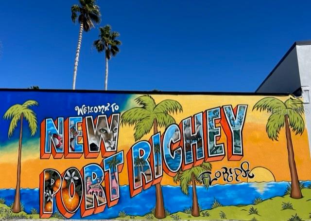 5742 Meadowlane Street New Port Richey, FL 34652 - Photo 49 of 88