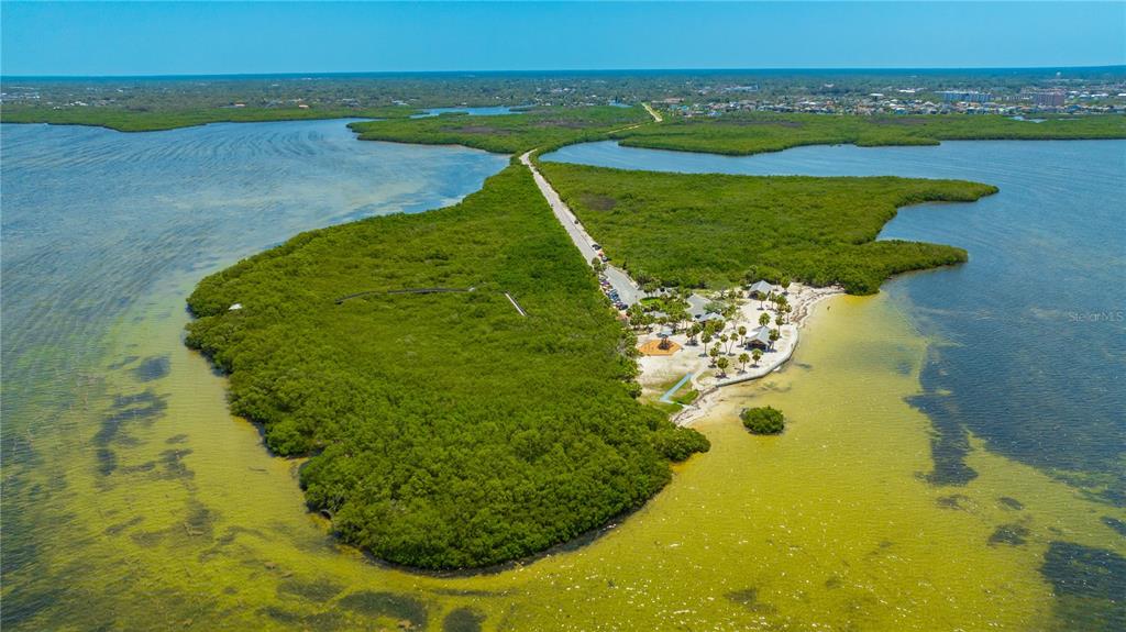 5742 Meadowlane Street New Port Richey, FL 34652 - Photo 69 of 88