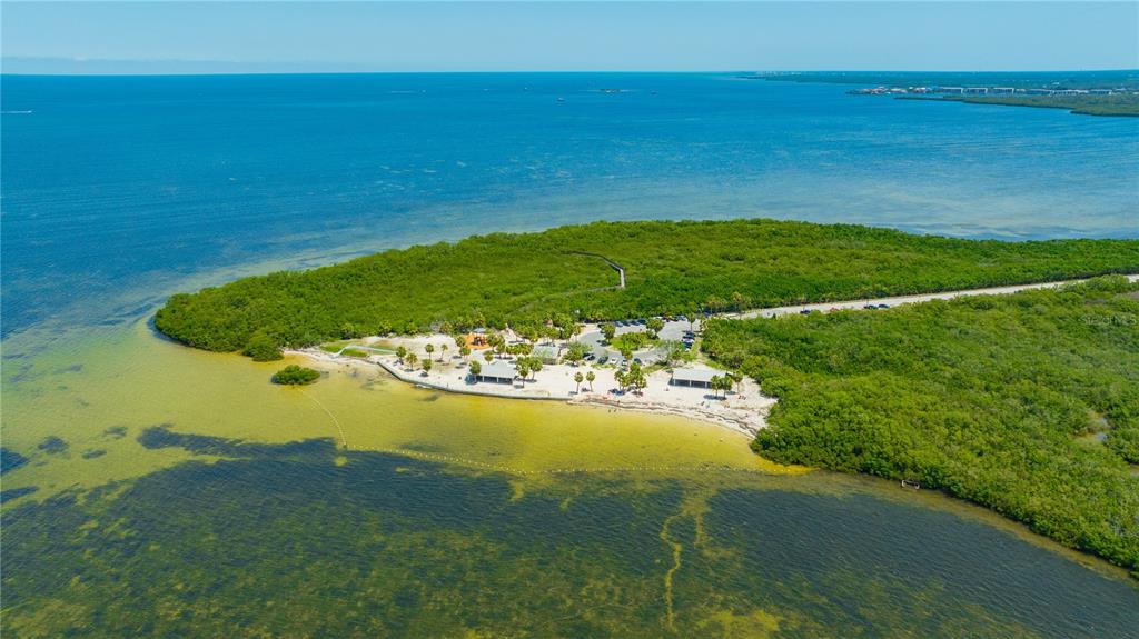 5742 Meadowlane Street New Port Richey, FL 34652 - Photo 70 of 88