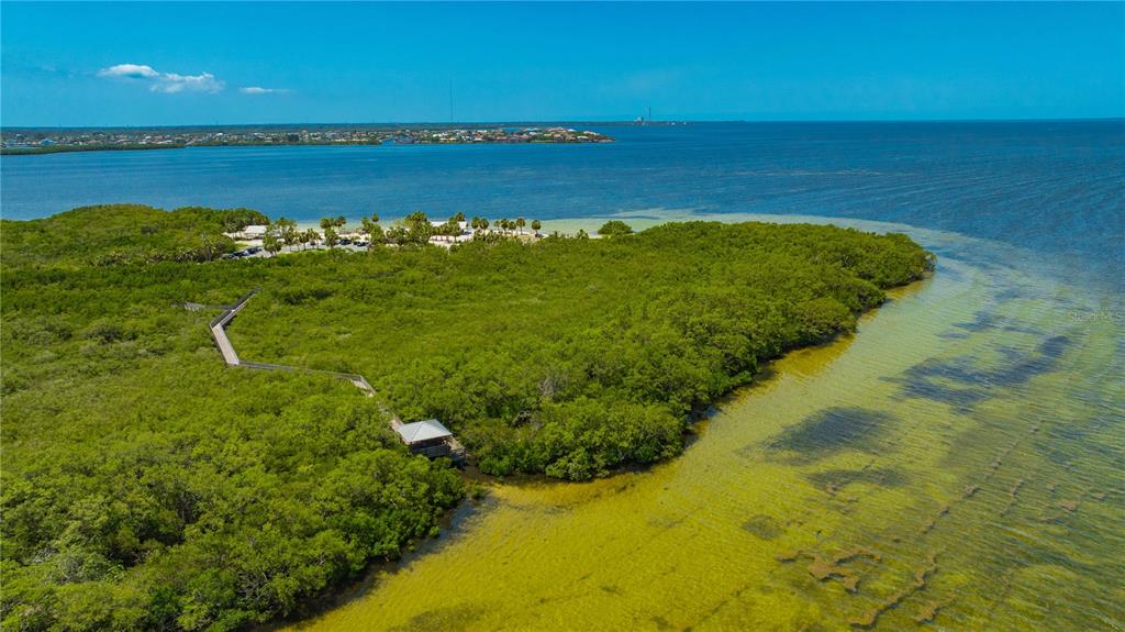 5742 Meadowlane Street New Port Richey, FL 34652 - Photo 72 of 88