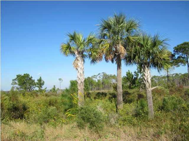 Lot 7 Stanford Road Gulf Breeze, FL 32563 - Photo 2 of 4 Gallery Image 2