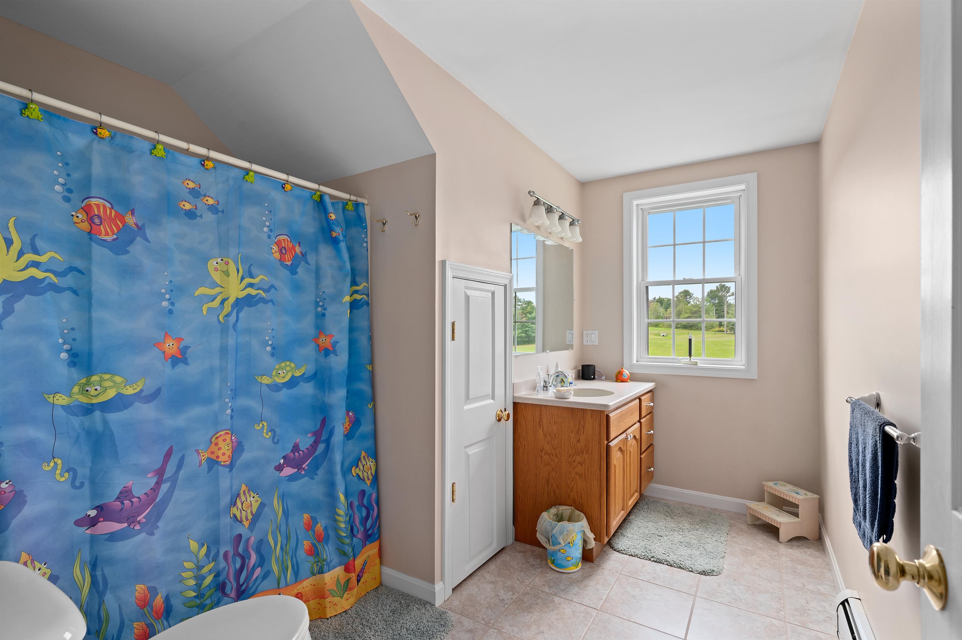 164 Swain Road Gilford, NH 03249 - Photo 24 of 40