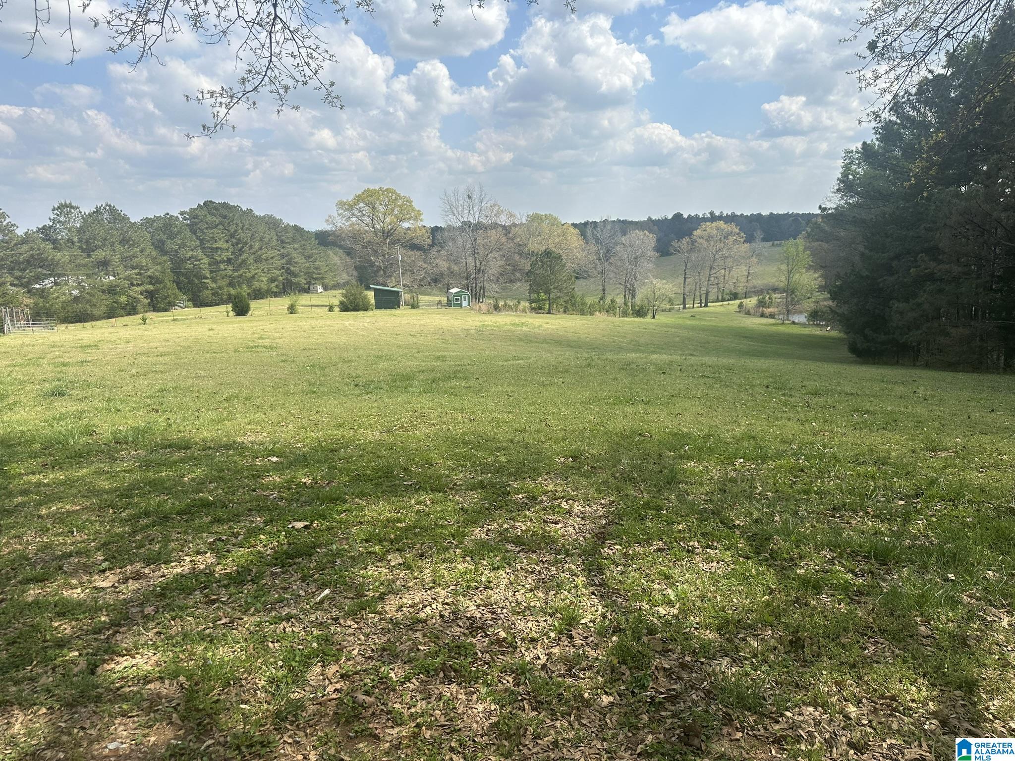 75 Mary Lee Lane Alpine, AL 35014 - Photo 21 of 77