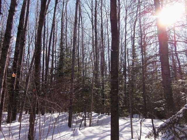 Lot 40 Kyle Court Mercer, WI 54547 - Photo 7 of 8 Gallery Image 7