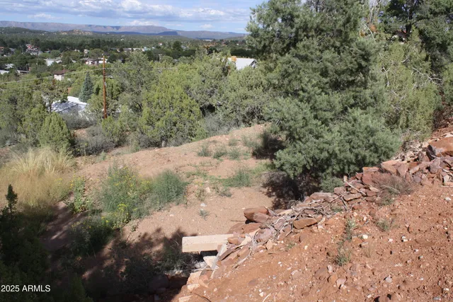 a view of a bunch of trees and bushes