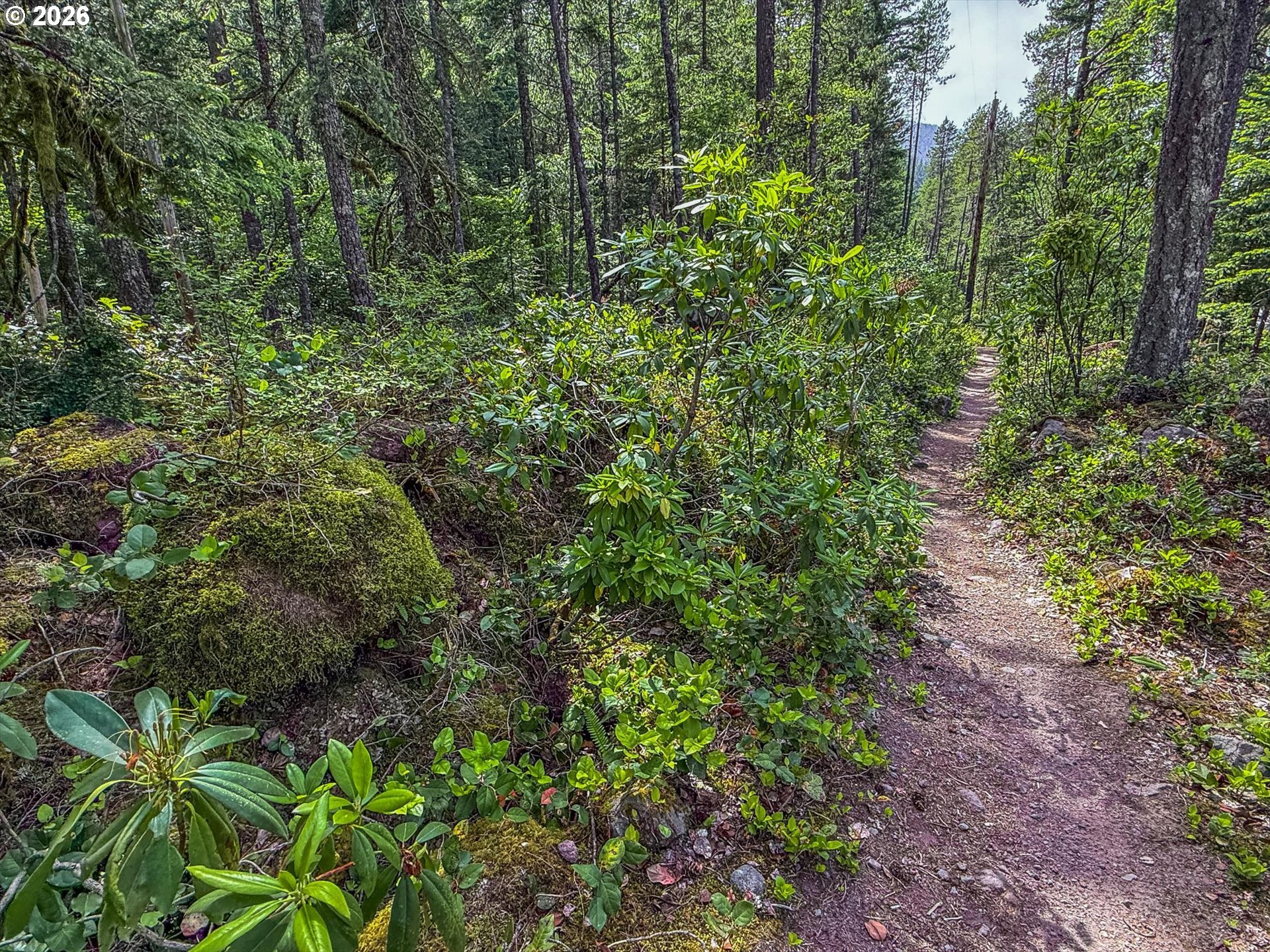 75125 Mt Hood Highway Rhododendron, OR 97049 - Photo 35 of 40 Gallery Image 35