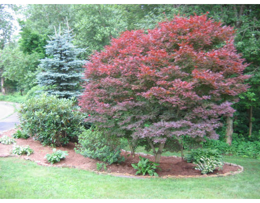 109 Selwyn Road Randolph, MA 02368 - Photo 11 of 14 Gallery Image 11