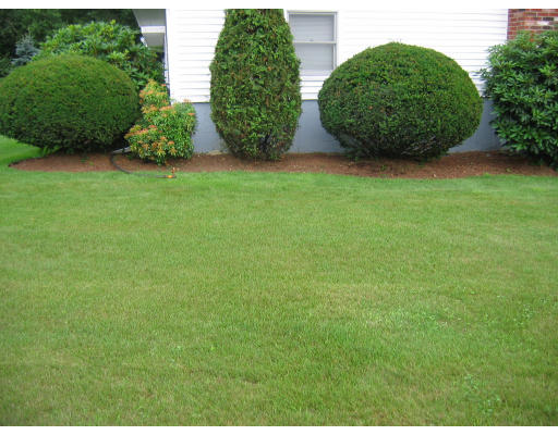 109 Selwyn Road Randolph, MA 02368 - Photo 14 of 14 Gallery Image 14