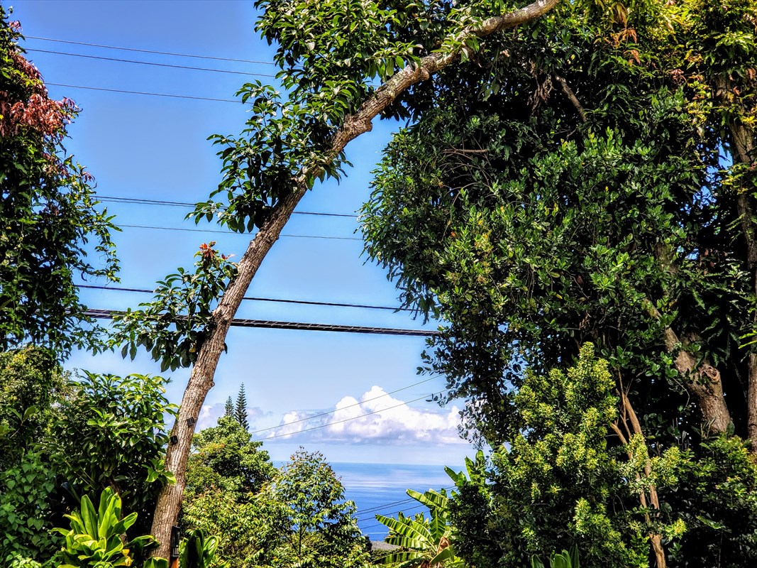 83-5338 Middle Keei Road Captain Cook, HI 96704 - Photo 14 of 24 Gallery Image 14