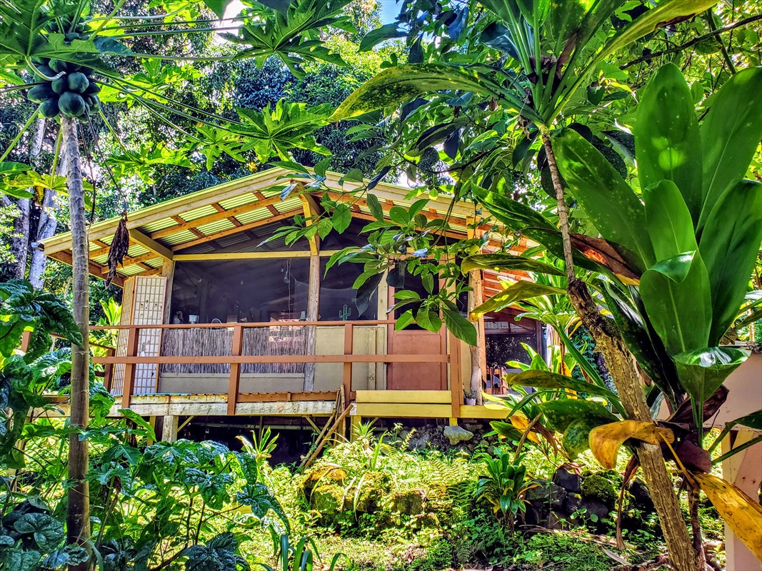83-5338 Middle Keei Road Captain Cook, HI 96704 - Photo 15 of 24 Gallery Image 15