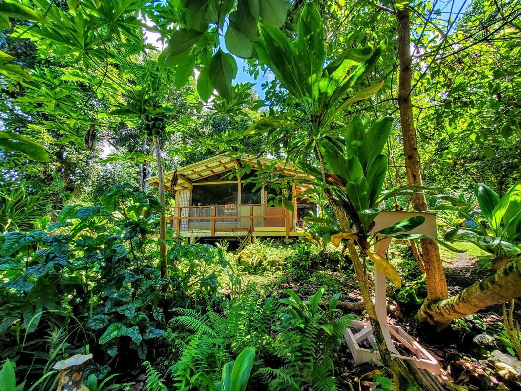 83-5338 Middle Keei Road Captain Cook, HI 96704 - Photo 17 of 24 Gallery Image 17