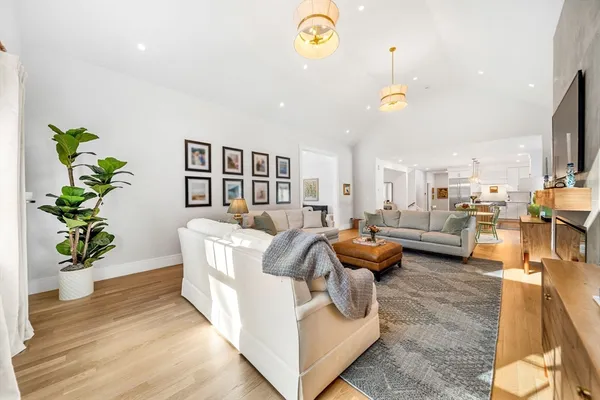 a living room with furniture and a potted plant