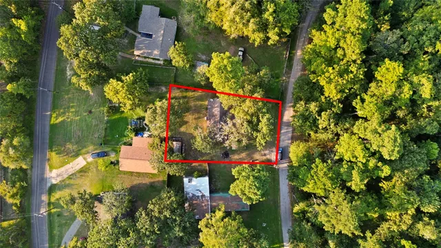 a picture of flowers