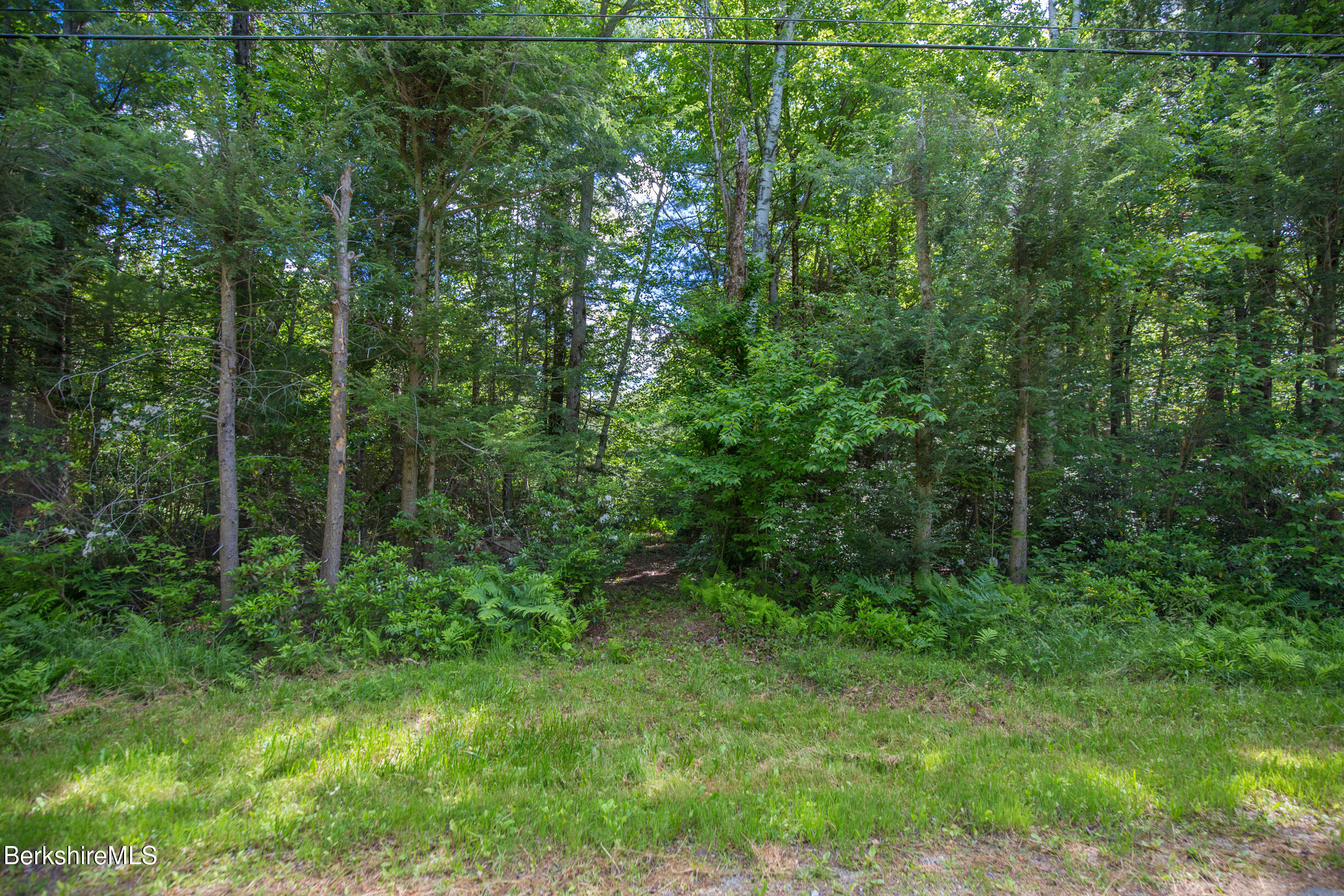 21 Stoney Brook Road Becket, MA 01223 - Photo 3 of 15 View from road