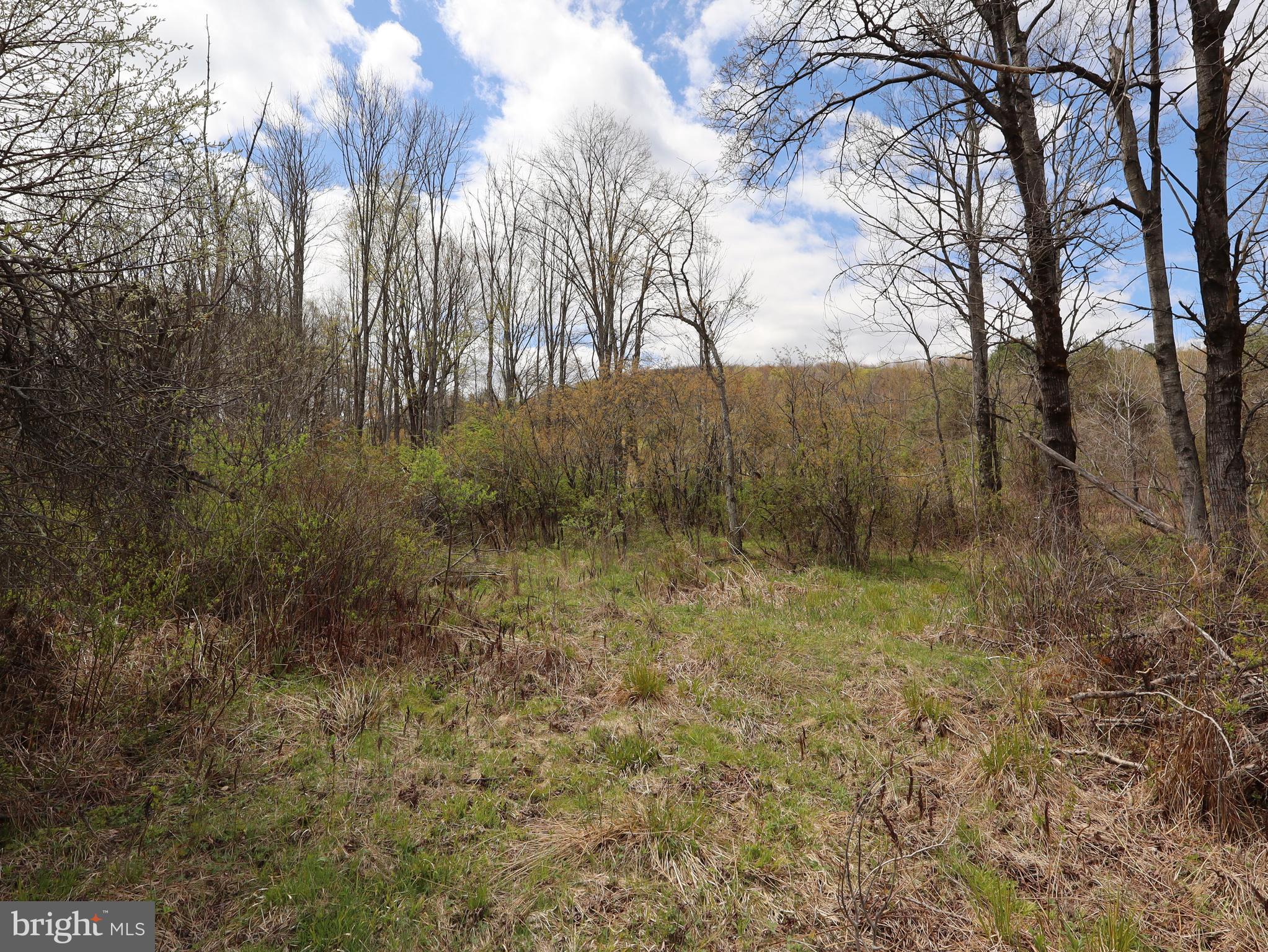 0 Holbrook Road Montrose, PA 18801 - Photo 109 of 147