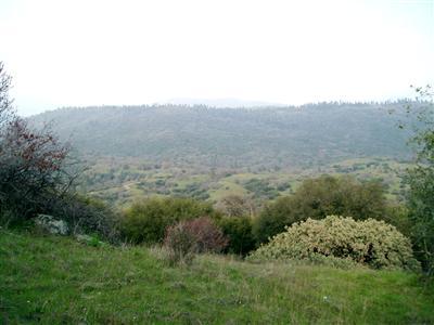 0 Whitaker Forest Road Badger, CA 93603 - Photo 2 of 13 Gallery Image 2