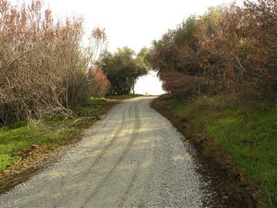 0 Whitaker Forest Road Badger, CA 93603 - Photo 12 of 13 Gallery Image 12