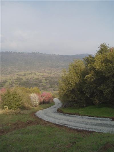 0 Whitaker Forest Road Badger, CA 93603 - Photo 4 of 13 Gallery Image 4