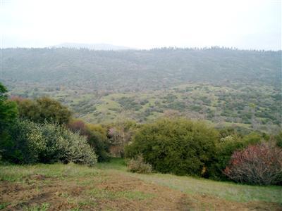 0 Whitaker Forest Road Badger, CA 93603 - Photo 5 of 13 Gallery Image 5