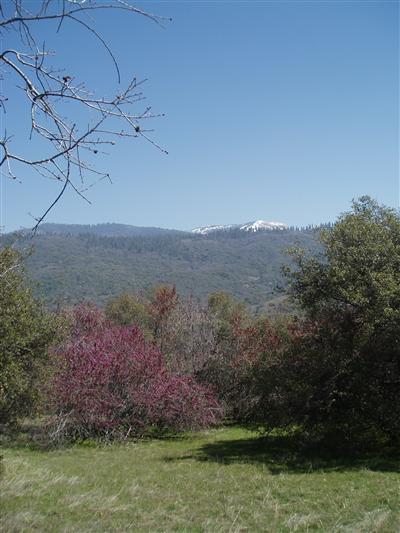 0 Whitaker Forest Road Badger, CA 93603 - Photo 6 of 13 Gallery Image 6