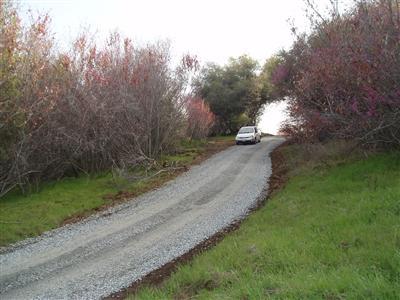 0 Whitaker Forest Road Badger, CA 93603 - Photo 7 of 13 Gallery Image 7