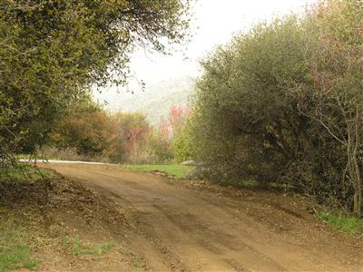 0 Whitaker Forest Road Badger, CA 93603 - Photo 10 of 13 Gallery Image 10