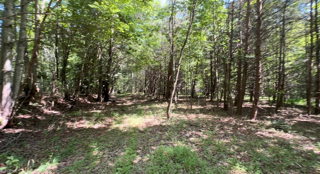 Tbd Tbd Simmons Road Westfield, NC 27053 - Photo 7 of 10 Gallery Image 7