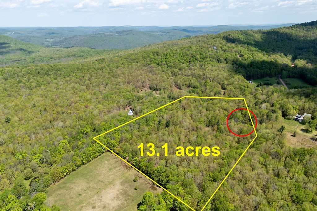 154 Townsend Road Bovina, NY 13740 - Photo 9 of 50