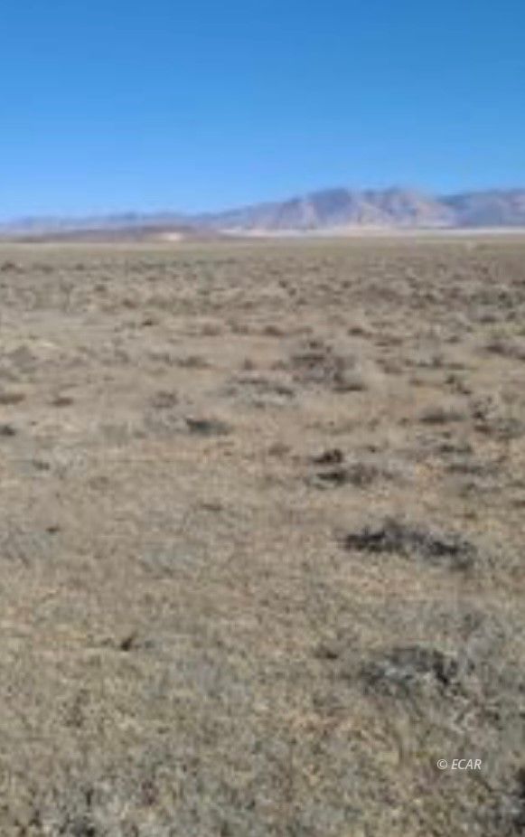 40 Acres T31n Crescent Valley, NV 89821 - Photo 9 of 9