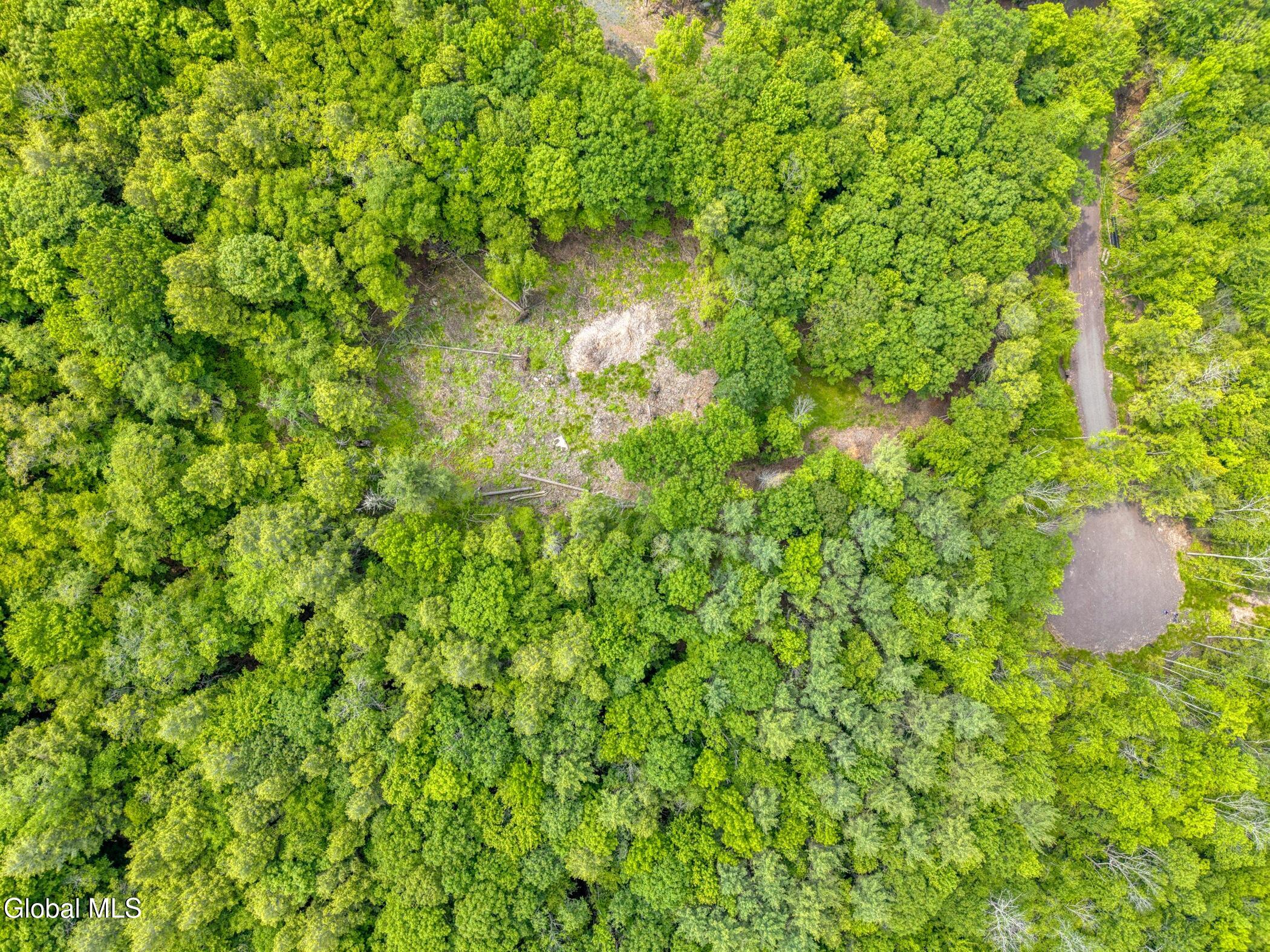 L36 Boulder Brook Road, Unit LOT # 12 Windham, NY 12496 - Photo 29 of 44 Image-35