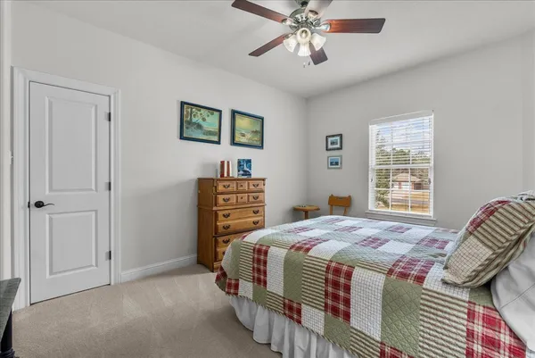a view of a backyard with plants and patio